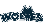 Northwestern Polytechnic logo